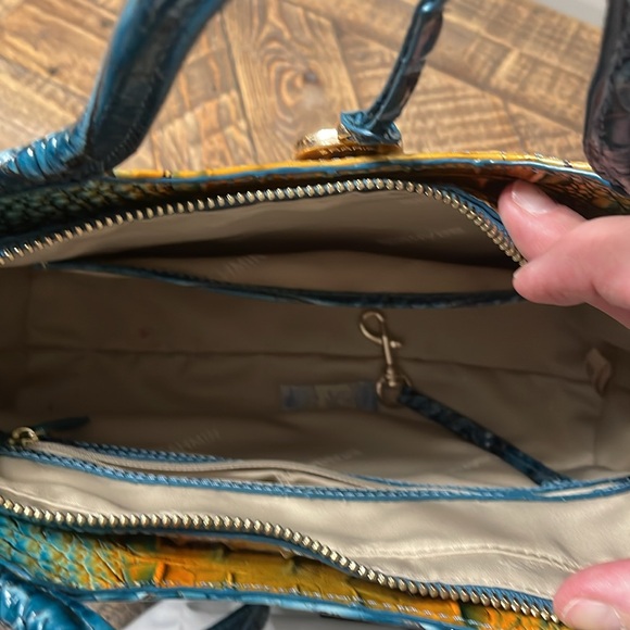 Brahmin - Picture 3 of 3